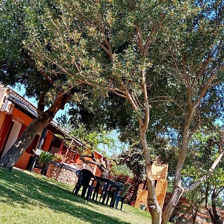 Is Cuccus Bed & Breakfast Masainas Luaran gambar