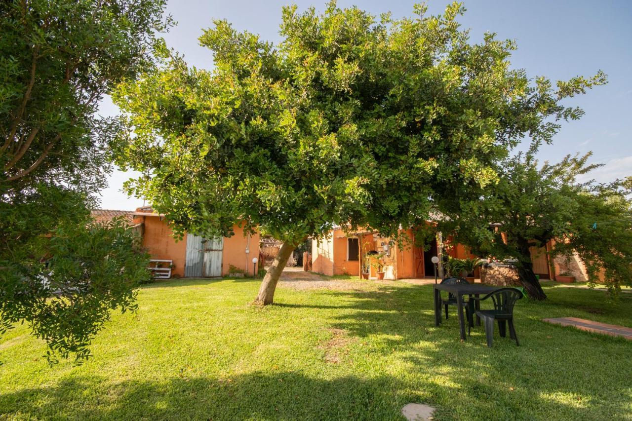 Is Cuccus Bed & Breakfast Masainas Luaran gambar